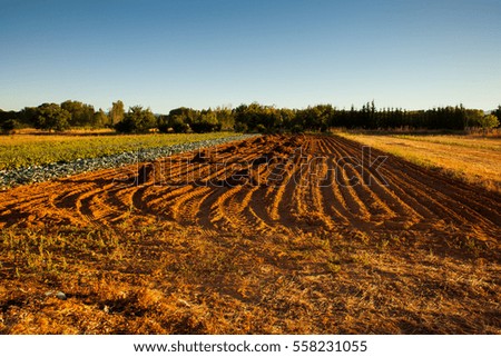 View of cultivated field in the spanish countryside