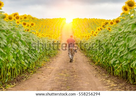 Photographer to take the pictures on the sunflower field.