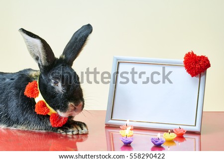 Cute black rabbit with a ribbon with hearts around his neck next to the photo frame and burning candles in the shape of hearts