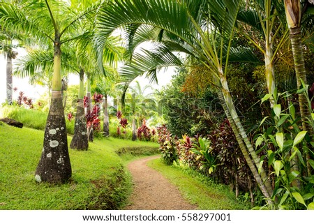 Garden of Eden in Maui, Hawaii. Royalty-Free Stock Photo #558297001