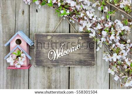 Welcome sign by colorful birdhouse and white spring tree flowers border hanging on antique rustic wood background; springtime background with copy space
