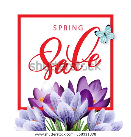 Spring  sale Concept. Spring background with Blooming spring flowers,  crocuses and butterflies. Template Vector.