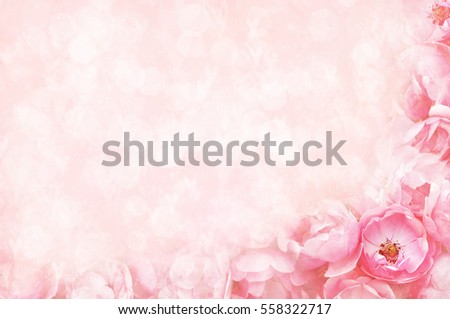 Spring blossom or summer blossoming rose (rosehip), selective focus, shallow DOF, toned, light and heart bokeh background, pastel and soft card