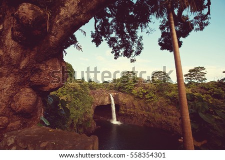 man rest near waterfall