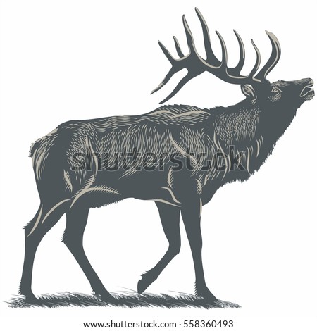 Deer, Elk on the grass, illustration, vector Royalty-Free Stock Photo #558360493