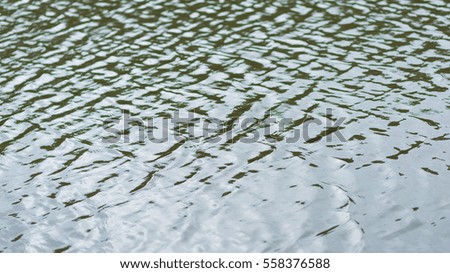 Rippling water surface of forest pond with shallow depth of field as background image