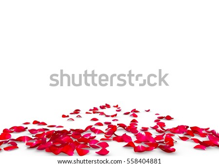 Red rose petals scattered on the floor. Isolated background Royalty-Free Stock Photo #558404881