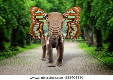 Close elephant with butterfly wings in park