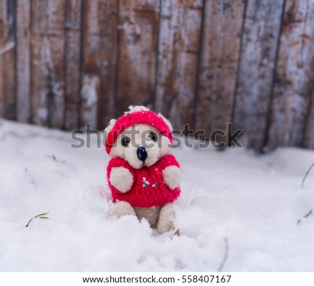 Toy bear with snow in winter. Christmas Card, copy space