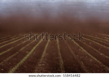 Black Blizzard (dust devil. dust whirl) on agricultural land. Loss of soil and crops. Everything is drowning in dense stream of dust.  Royalty-Free Stock Photo #558416482