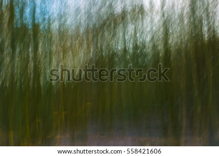 Abstract forest photo. Long exposure blurry autumn or winter forest.