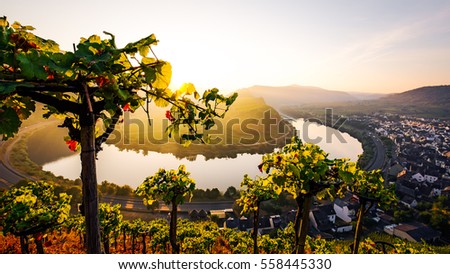 Sunrise at the moselle river bend over the village Bremm Royalty-Free Stock Photo #558445330