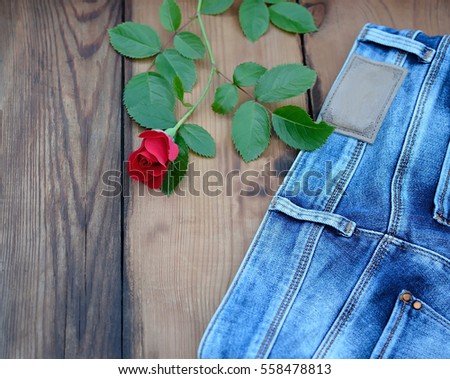 Red rose with leaf and jeans on wooden background