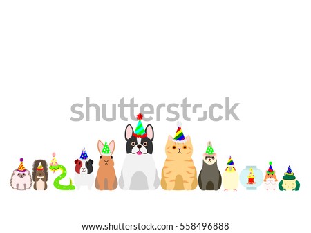 pet animals with party hat border set