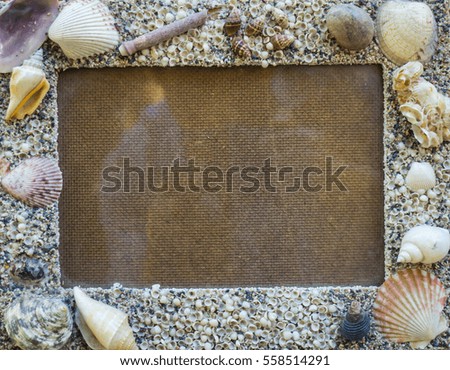The Tropical photo frame with seashells 