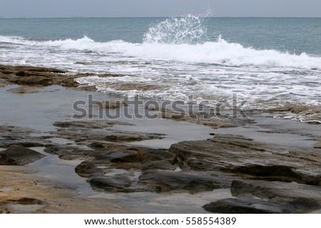 shore of the Mediterranean Sea