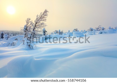 Big Snow Northern Winter Sunset Landscape - sparkling snow covered trees and big snowbanks, hills valley - wallpaper