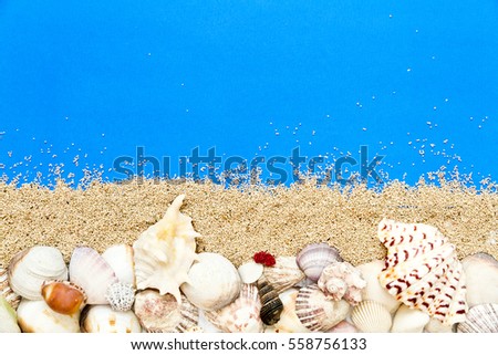 Top View of Random Seashell Collection on Sand Isolated by Blue Background