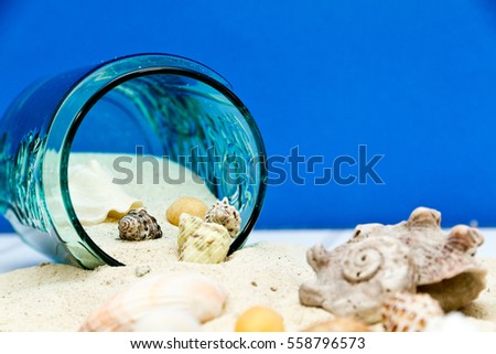 Studio Photo Shoot of Seashell Collection with the transparent Glass