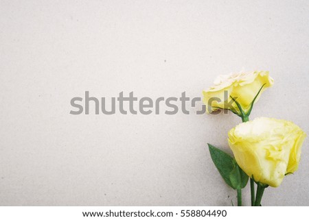 Yellow roses and copy space