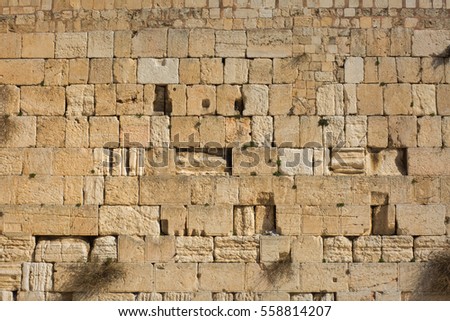Western Wall bricks background. Royalty-Free Stock Photo #558814207