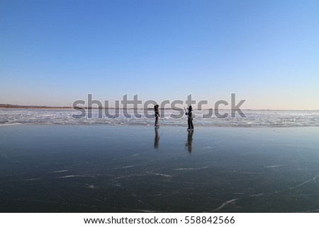 Ice-skaters on  lake Neusiedl, Neusiedler See, Austria