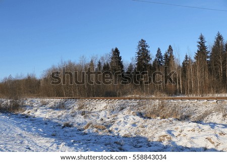 Snowy landscape