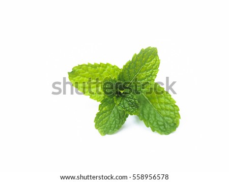Top mint leaves, fresh raw isolated on white background.