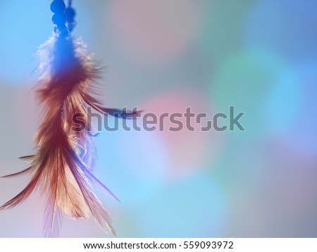 Dream catcher and colorful bokeh light with blurred focus for background,