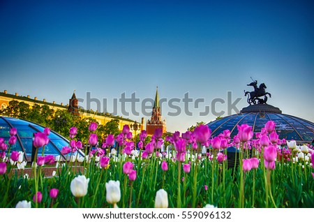 Manezhnaya Square, the view of Senate and Troitskaya (Trinity) Towers of the Moscow Kremlin and the fountain "Watch of the World", Moscow, Russia Royalty-Free Stock Photo #559096132
