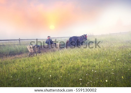  Shining fog in Carpathians. Locals mountaineers Hutsuls with a cart horse-drawn wagon ride out to pasture on the meadow in the mountains Svidovets rain on the rising of the sun  the rainbow Royalty-Free Stock Photo #559130002