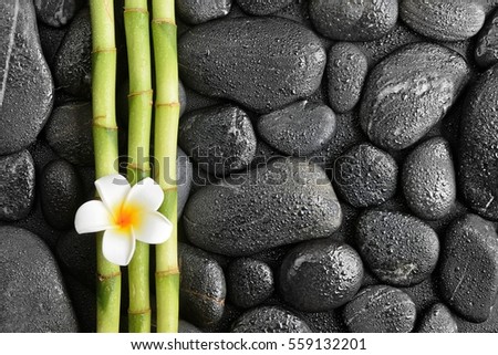 frangipani flower and bamboo on the black stones