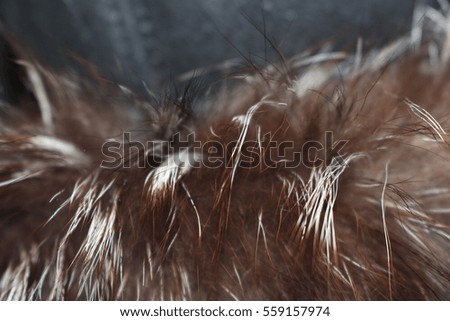 Clothing items made of fur
