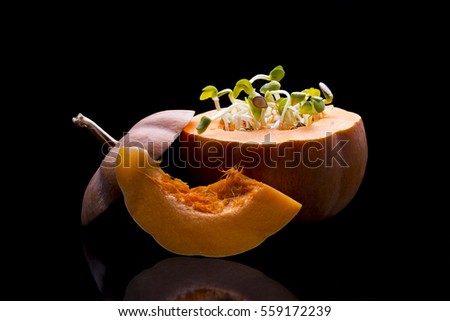 pumpkin with germinating pips on a black background