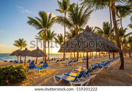 Tropical beach resort at sunrise in Punta Cana, Dominican Republic. Royalty-Free Stock Photo #559201222
