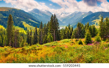 Colorful summer morning on the valley near Speicher Durlassboden lake. View of Richterspitze mountain range in the Austrian Alps, Schwaz district in the Tyrol state, Austria, Europe.