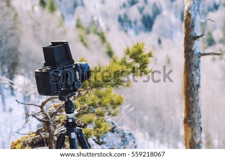 Retro professional camera on a tripod, outdoor wildlife photography. Mountains, forest background.