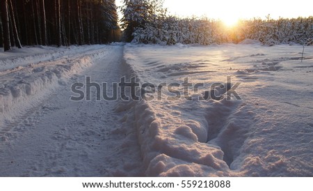 Snowy walk during sunset