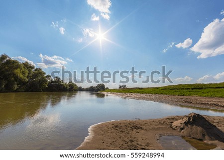 Beautiful sandy beach on a lake in summer, on a bright sunny day