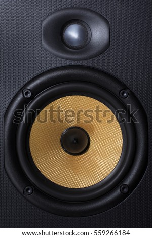 Close-up of a Home Entertainment Speaker