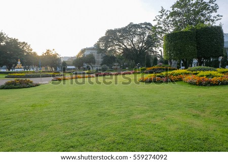 a front selective focus picture of green grass lawn of landscape garden. 