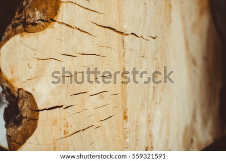slice of wood