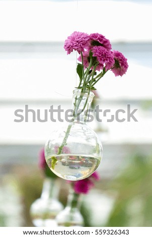 blooming beautiful pink flowers background, Pink flowers in a glass vase were hung on the walkway