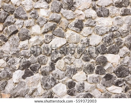 Rock wall with worm tone 