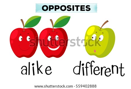 Opposite words for alike and different illustration