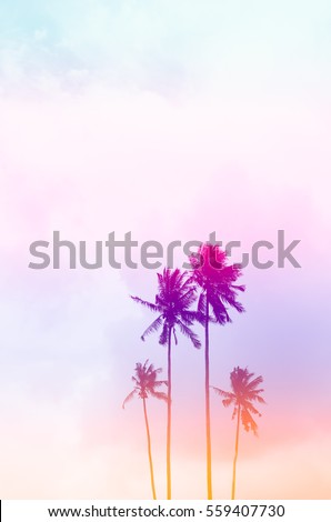 Copy space of tropical palm tree with sun light on sky background. Summer vacation and nature travel environment concept. Vintage tone filter effect color style.  