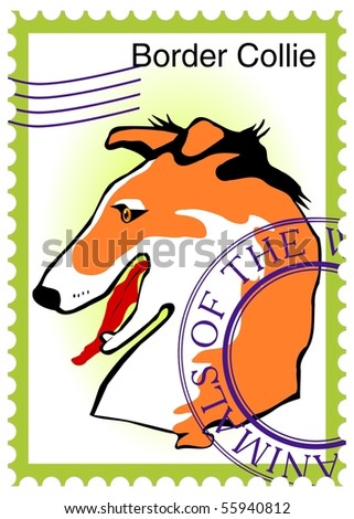 vector stamp with dog "Border Collie" eps10