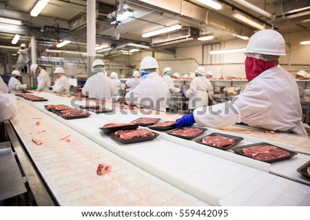 Workers handle meat organizing packing shipping loading at factory plant Royalty-Free Stock Photo #559442095
