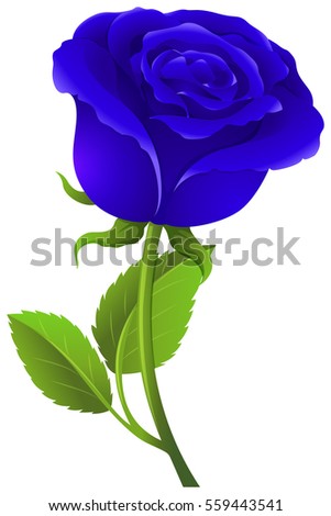 Blue rose on green stem illustration