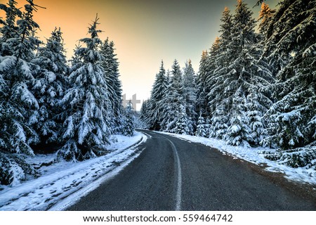 Winter Landscape with snow covered trees at sunset